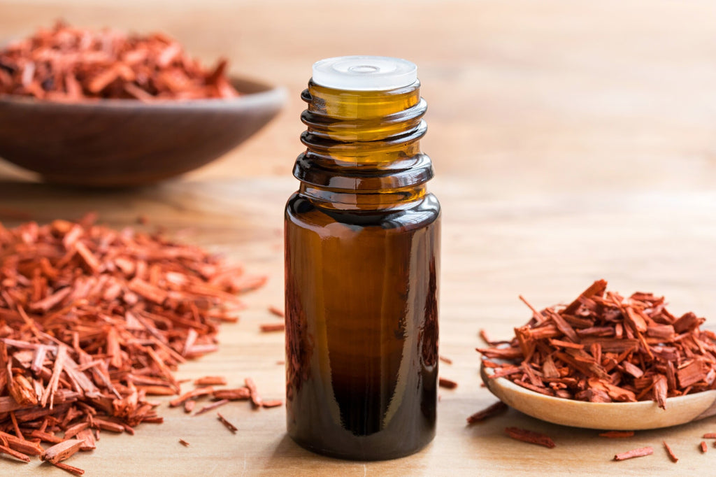 The discovery of raw materials: Sandalwood
