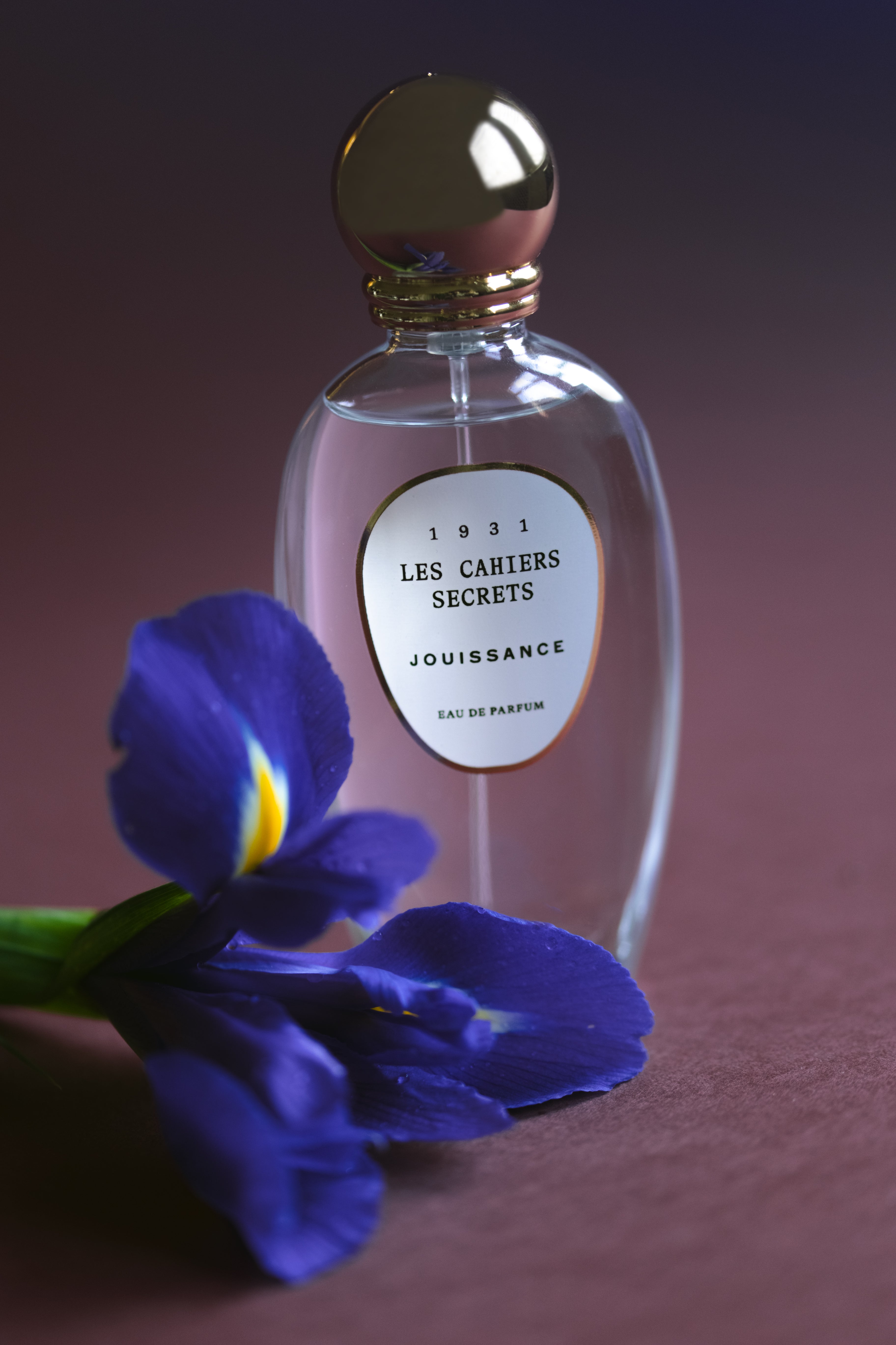 Les Cahiers Secrets - 1931