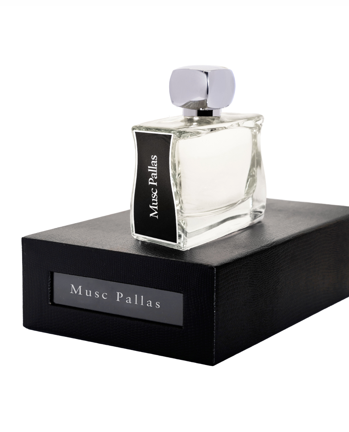 Musc Pallas