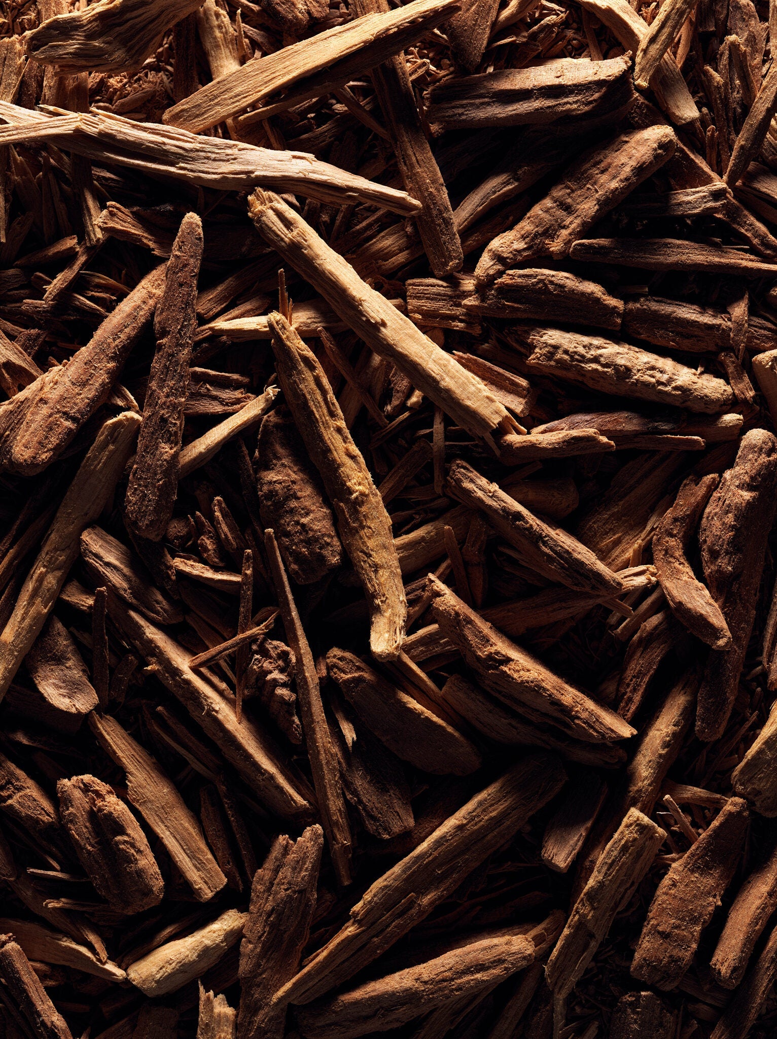 Santal de Nouvelle-Calédonie, matière première du parfum Vétiver Santal MarieJeanne
