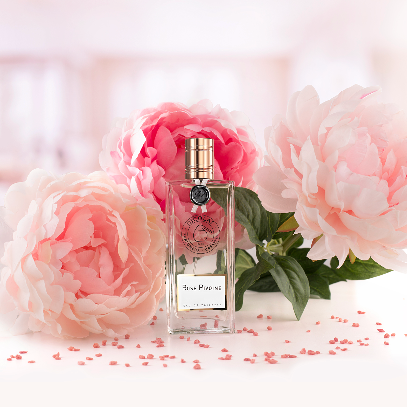 Rose Pivoine