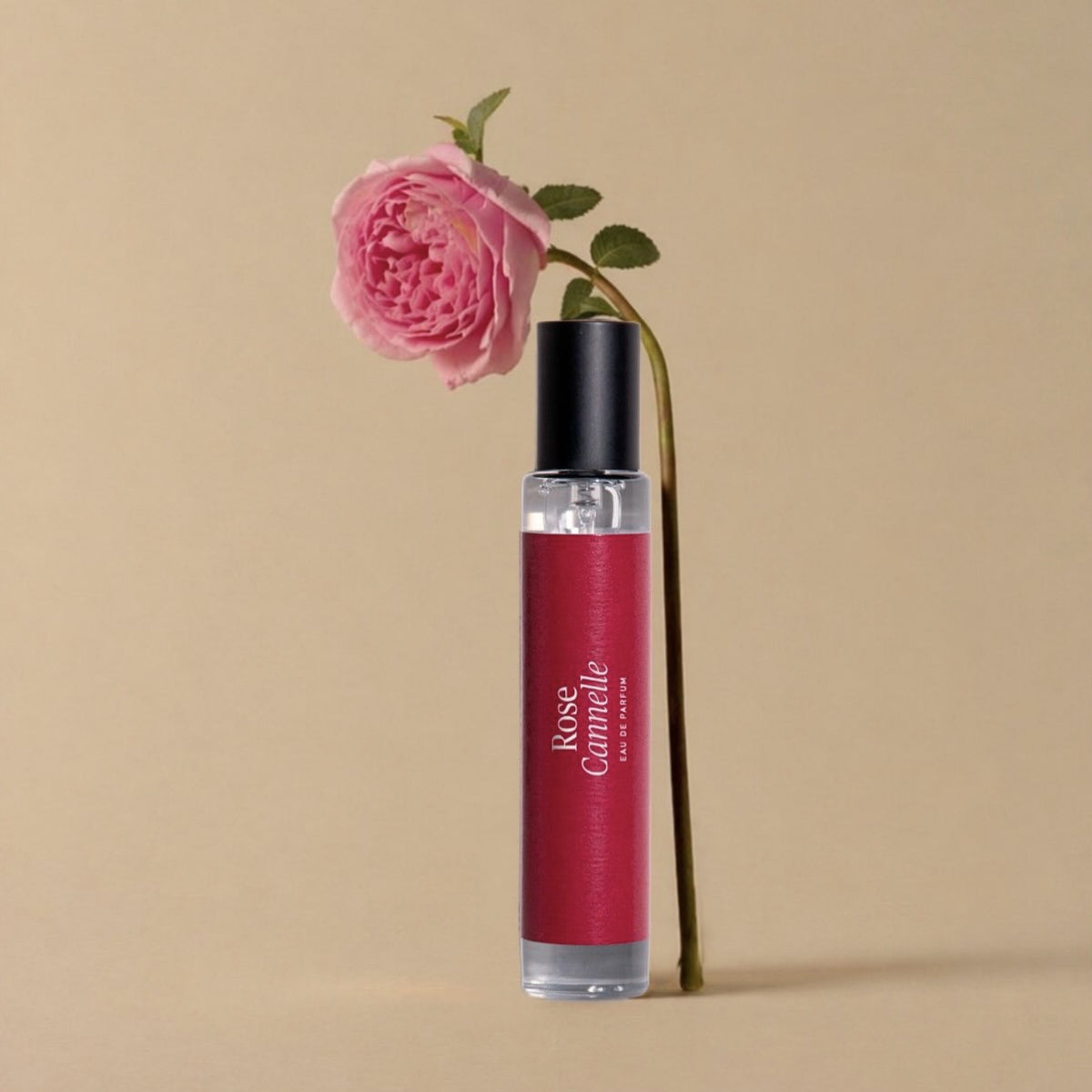 Rose Cannelle