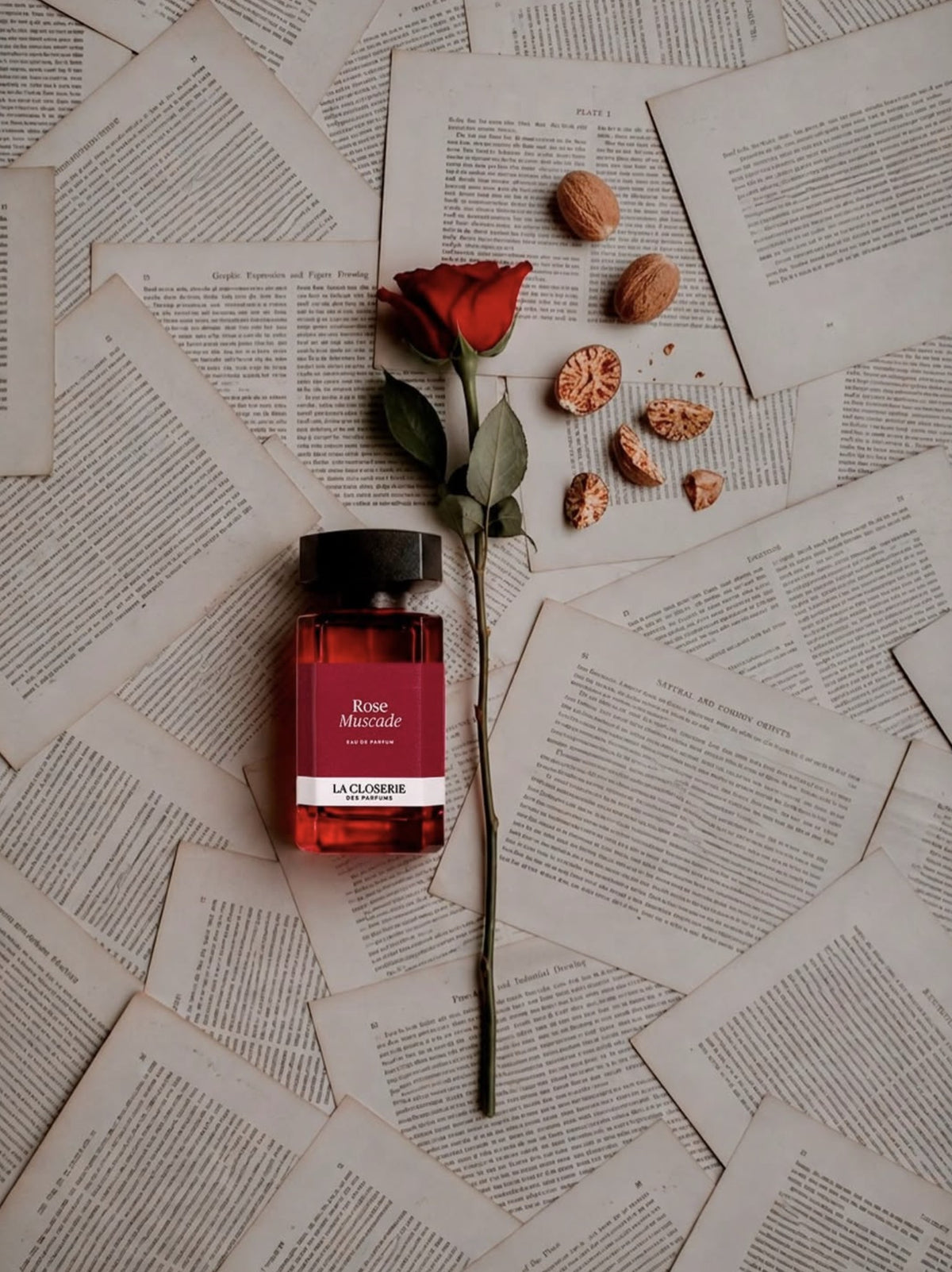 Rose Muscade