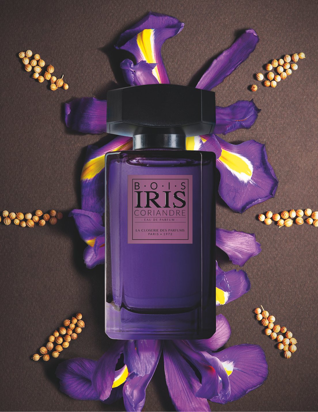 Iris Coriandre