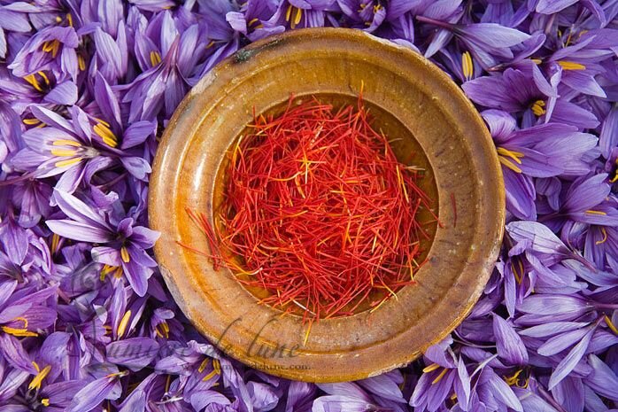 The discovery of raw materials: Saffron