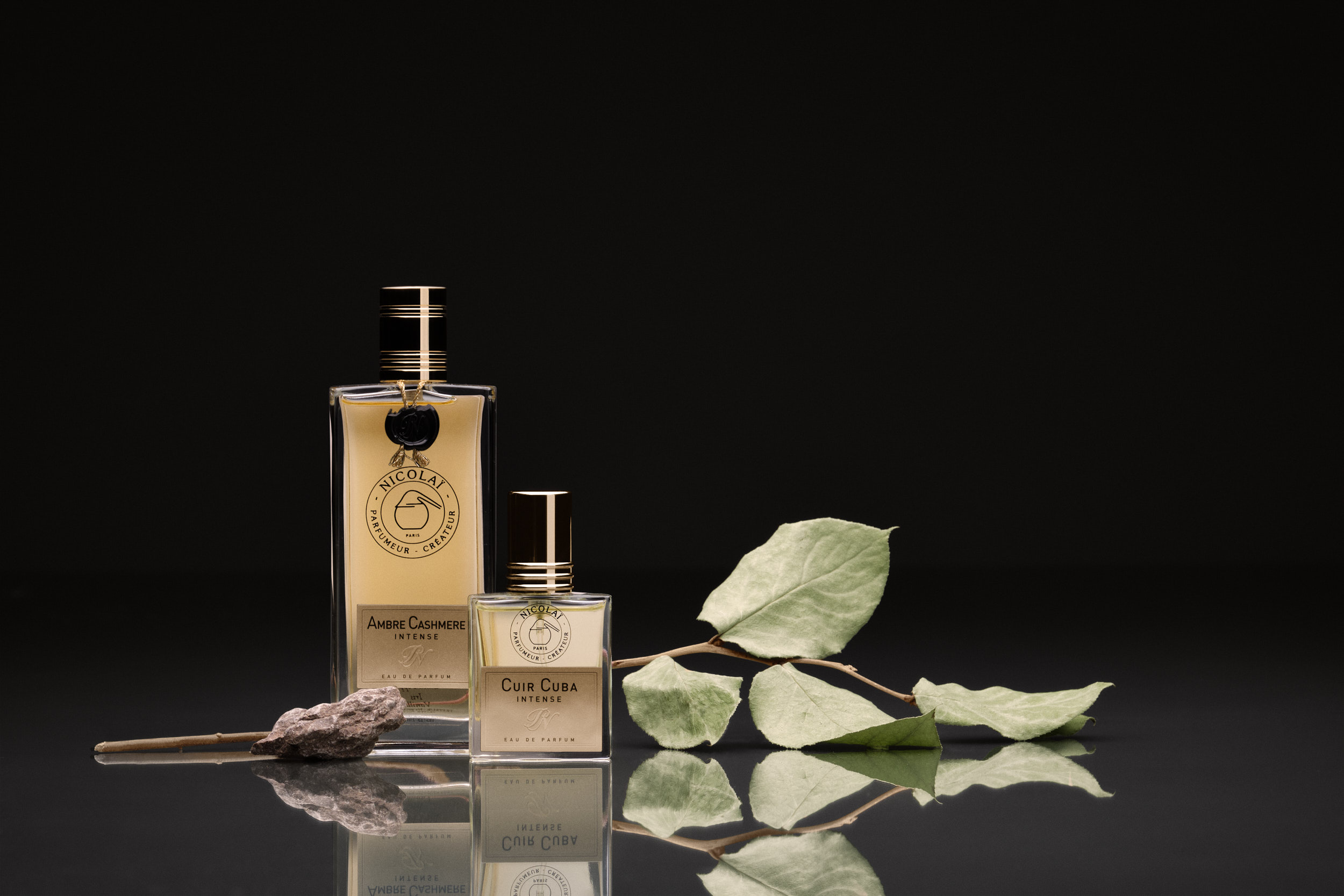 Parfums de Nicola Parfumeur Cr ateur H Parfums