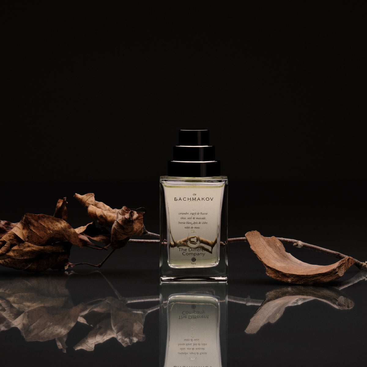 The Different Company | Exclusive Niche Perfumes | H Parfums