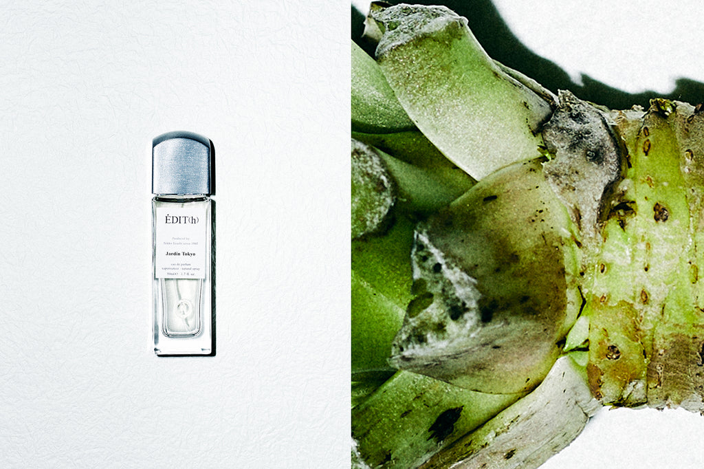 Jardin Tokyo de Édit(h), 50 ml