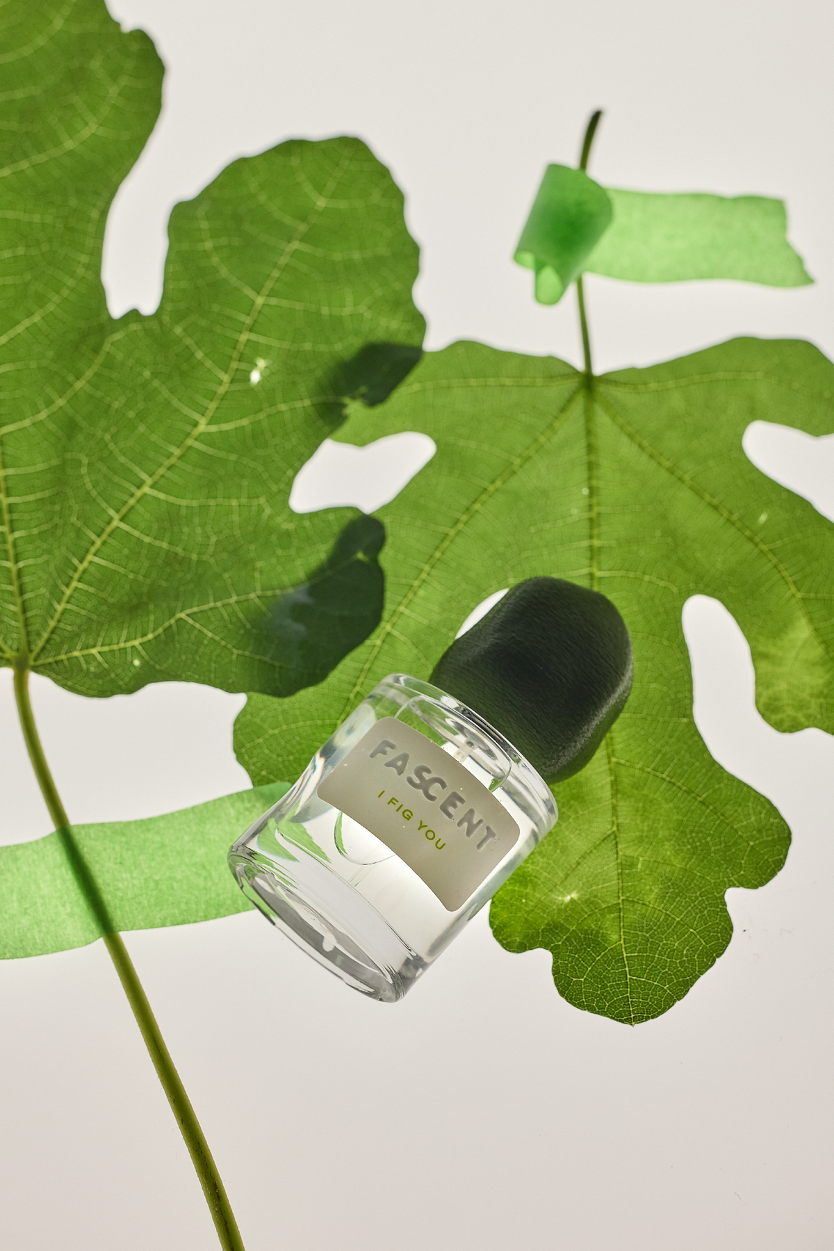 I Fig You - Fascent | H Parfums