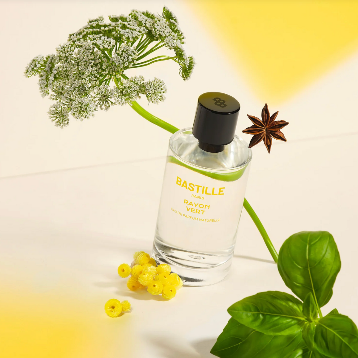 Rayon-Vert-Bastille | H Parfums