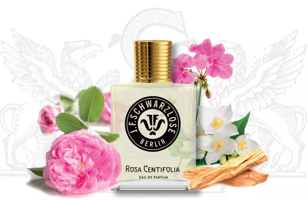 Rosa Centifolia– H Parfums