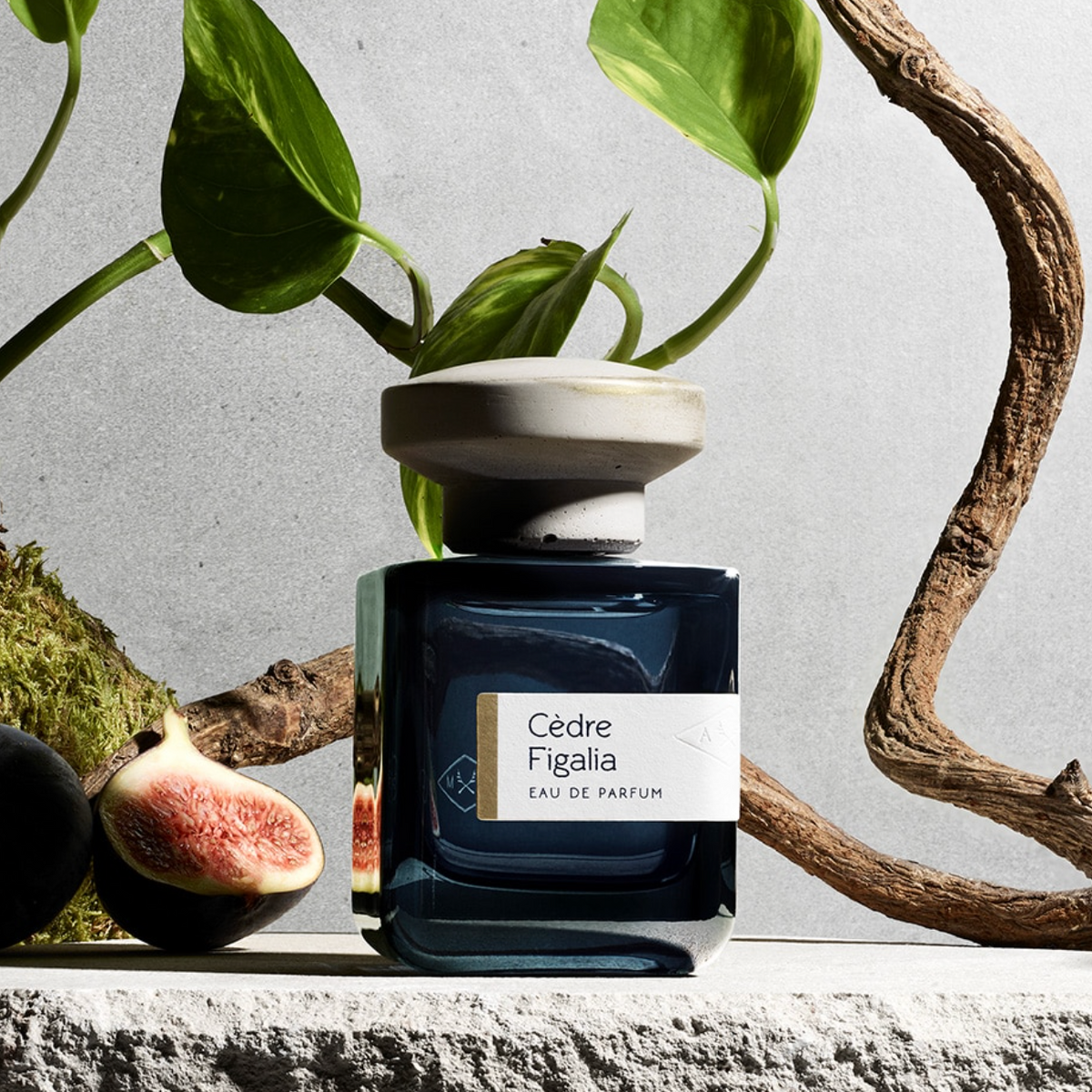 JUN　ATELIER MATERI Cedre Figalia Cedre Figalia - Vegetal, Woody Fragrance - ATELIER MATERI