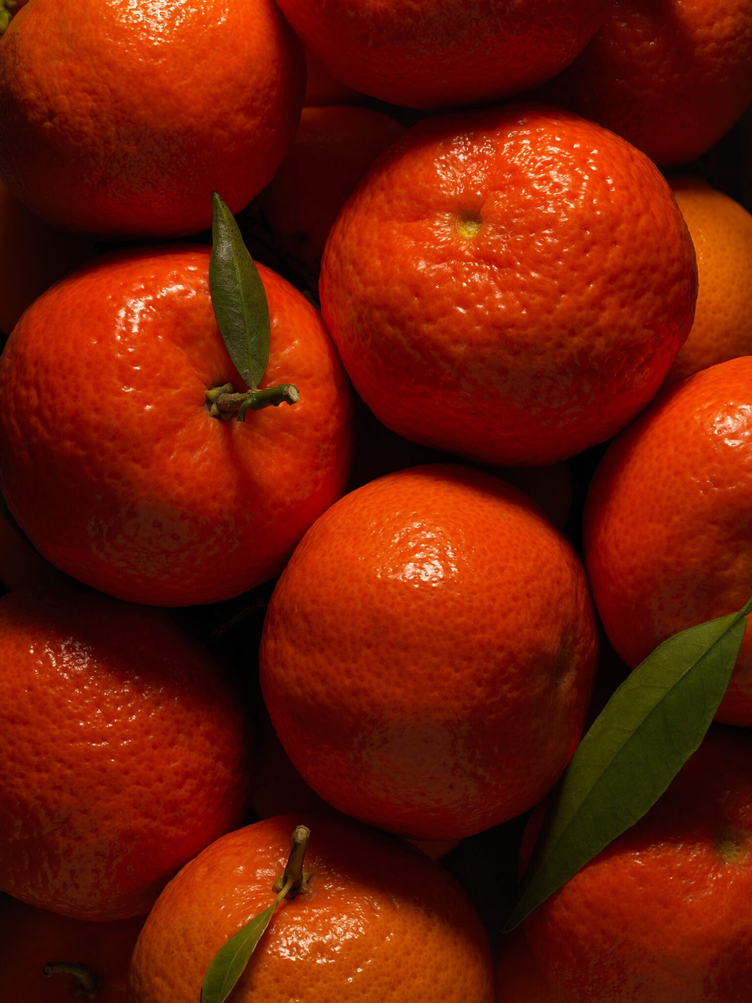 Mandarine d'Italie, note dominante de la Brume d'Été MarieJeanne