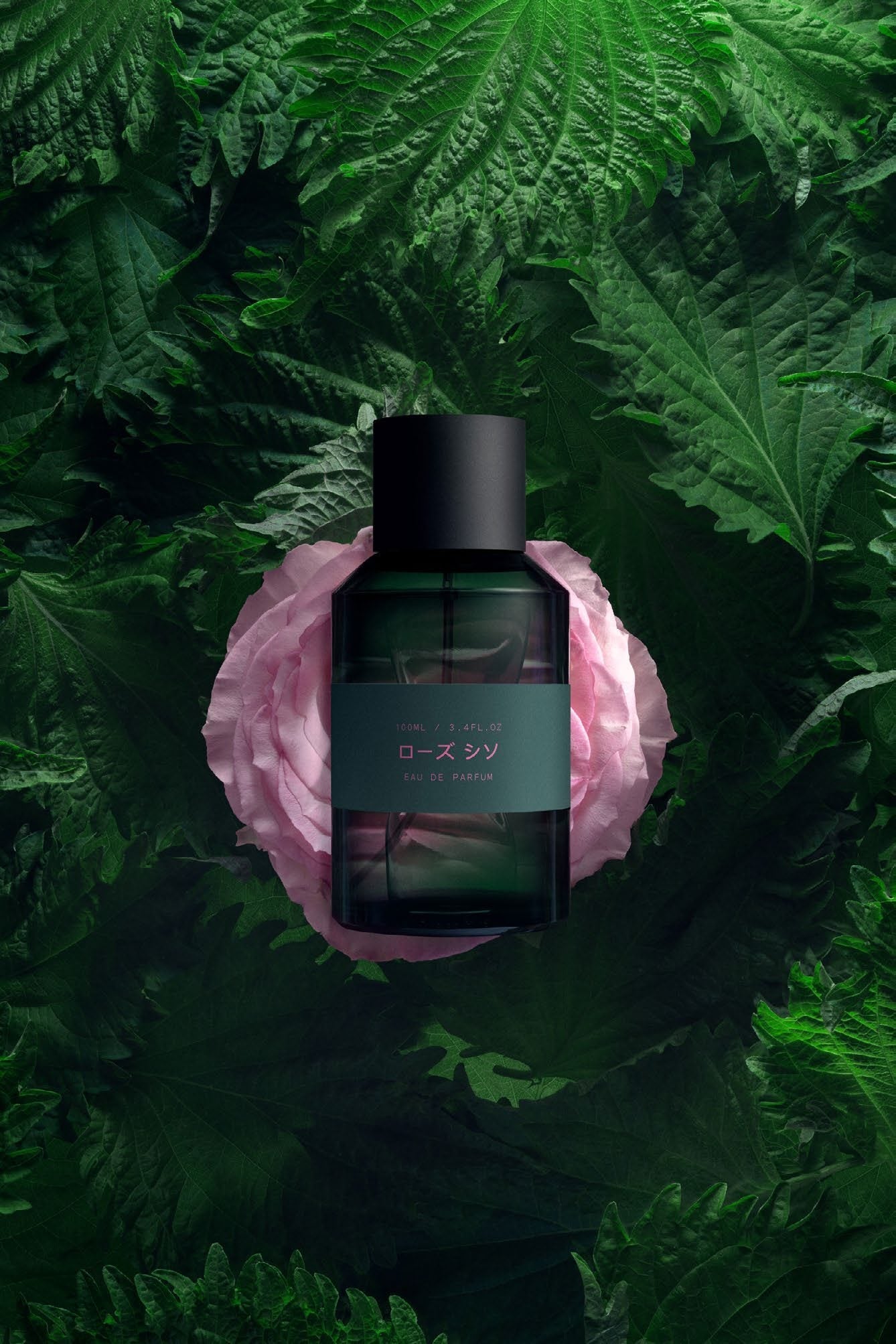 Rose Shiso - Marie Jeanne | H Parfums