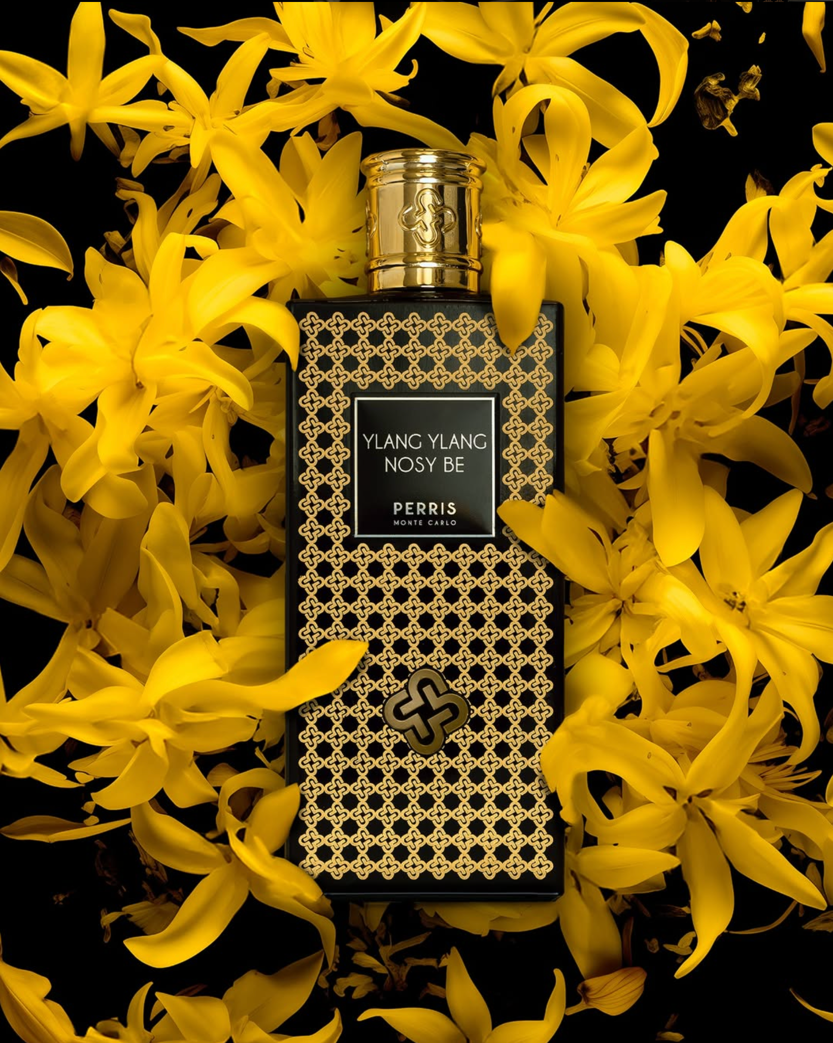 Ylang Ylang Nosy Be